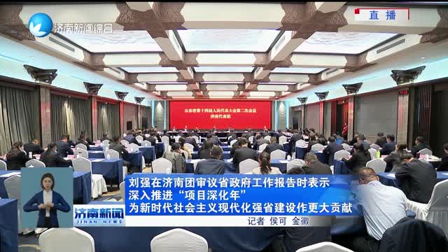 刘强在济南团审议省政府工作报告时表示 深入推进“项目深化年”为新时代社会主义现代化强省建设作更大贡献