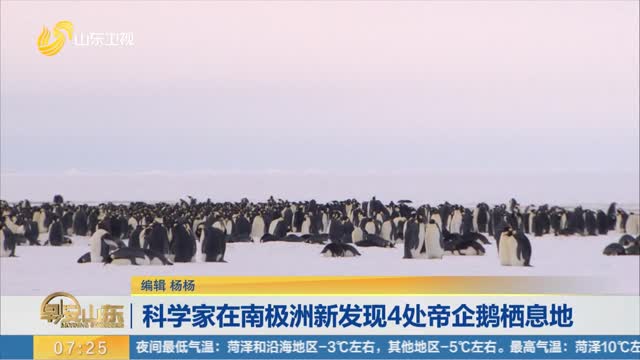科学家在南极洲新发现4处帝企鹅栖息地