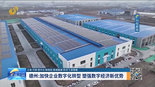 德州：加快企业数字化转型 塑强数字经济新优势