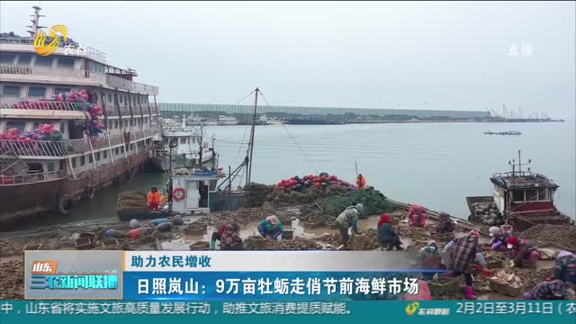 【助力农民增收】日照岚山：9万亩牡蛎走俏节前海鲜市场
