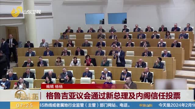 格鲁吉亚议会通过新总理及内阁信任投票