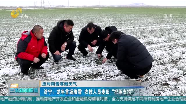 【应对雨雪寒潮天气】济宁：龙年首场降雪 农技人员麦田“把脉支招”