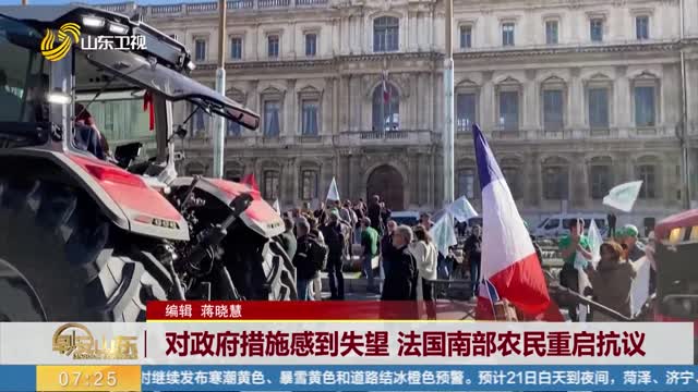 对政府措施感到失望 法国南部农民重启抗议