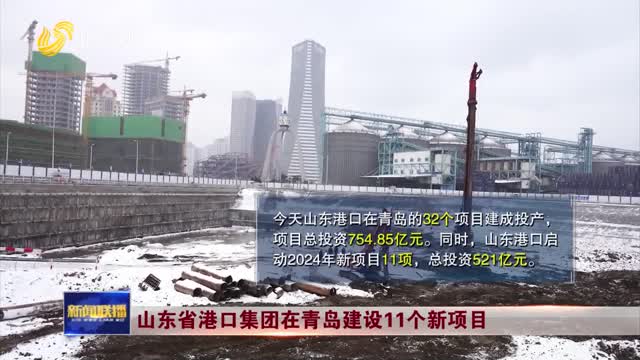 山东省港口集团在青岛建设11个新项目