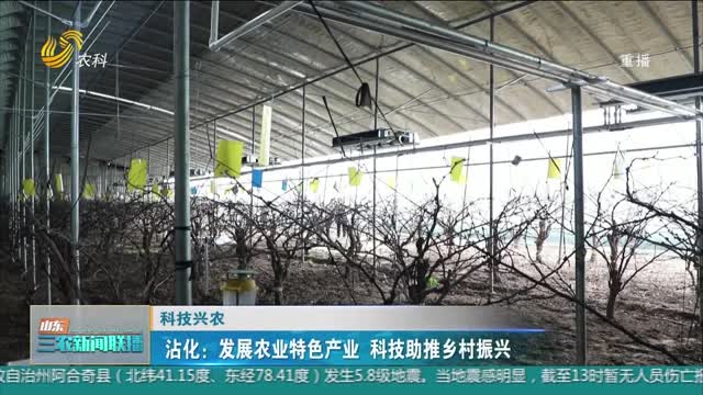 【科技兴农】沾化：发展农业特色产业 科技助推乡村振兴