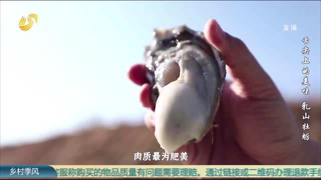 舌尖上的美味 乳山牡蛎
