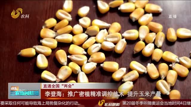 【直通全国“两会”】李登海：推广密植精准调控技术 提升玉米产量