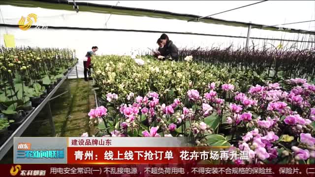【建设品牌山东】青州：线上线下抢订单 花卉市场再升温