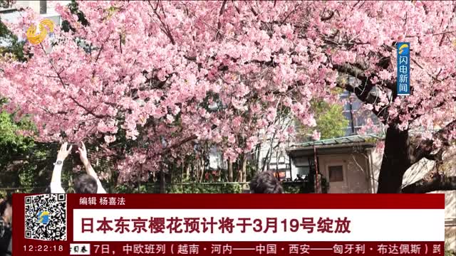 日本东京樱花预计将于3月19号绽放