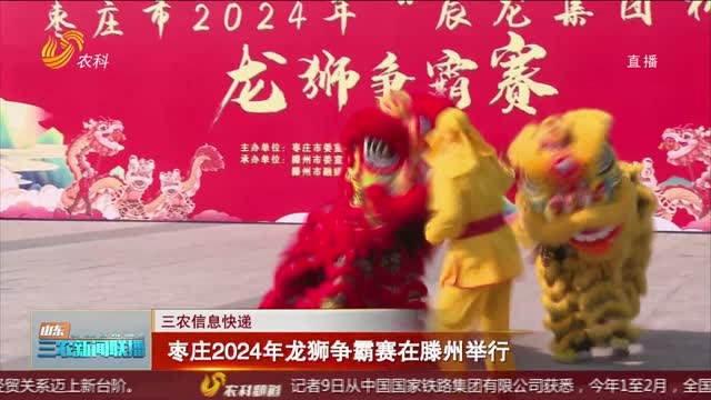 【三农信息快递】枣庄2024年龙狮争霸赛在滕州举行