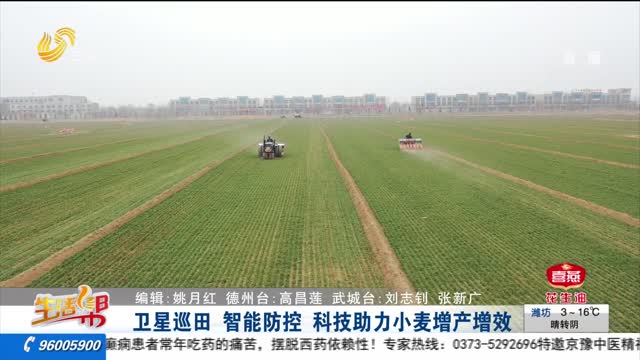 卫星巡田 智能防控 科技助力小麦增产增效