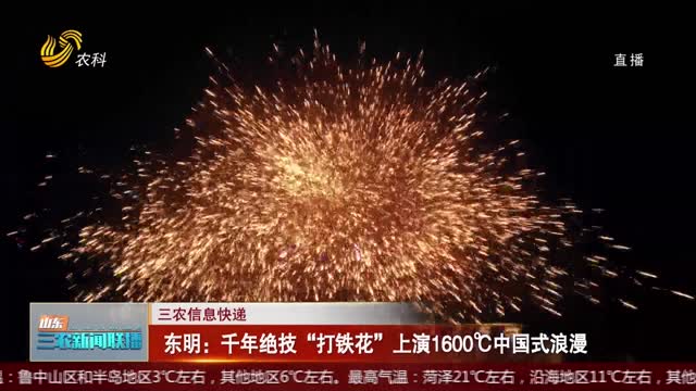 【三农信息快递】东明：千年绝技“打铁花”上演1600℃中国式浪漫