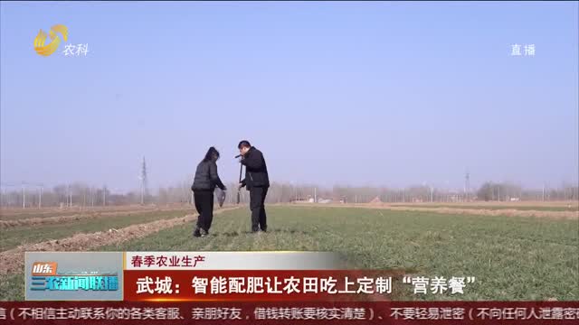 【春季农业生产】武城：智能配肥让农田吃上定制“营养餐”