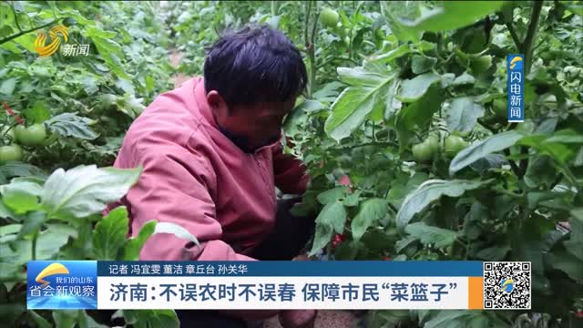 济南：不误农时不误春 保障市民“菜篮子”