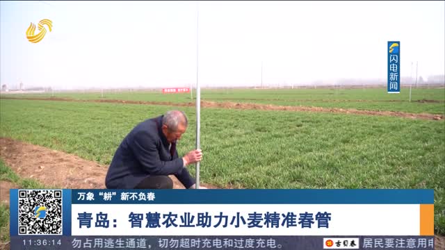 青岛：智慧农业助力小麦精准春管