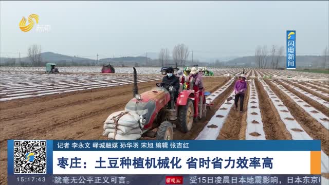 枣庄：土豆种植机械化 省时省力效率高