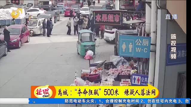 禹城：民警街头狂追500米 嫌疑人落法网
