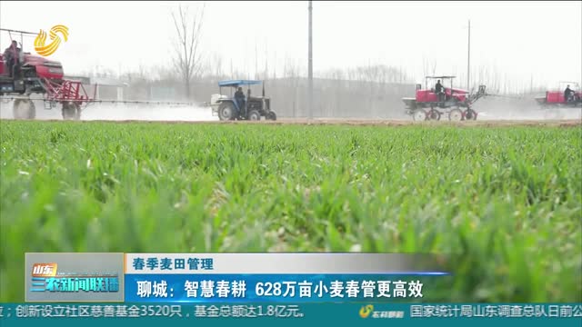 【春季麦田管理】聊城：智慧春耕 628万亩小麦春管更高效
