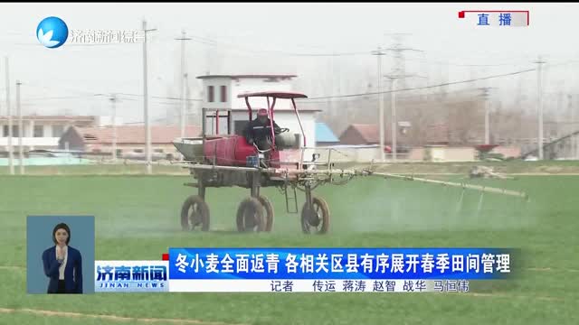冬小麦全面返青 各相关区县有序展开春季田间管理