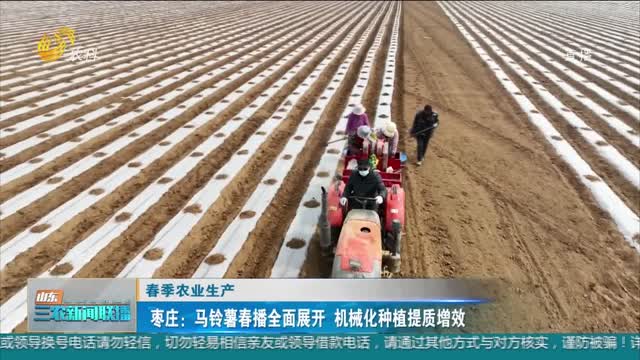 【春季农业生产】枣庄：马铃薯春播全面展开 机械化种植提质增效