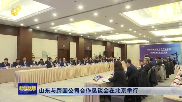 山东与跨国公司合作恳谈会在北京举行