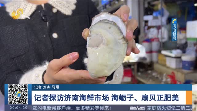 记者探访济南海鲜市场 海蛎子、扇贝正肥美