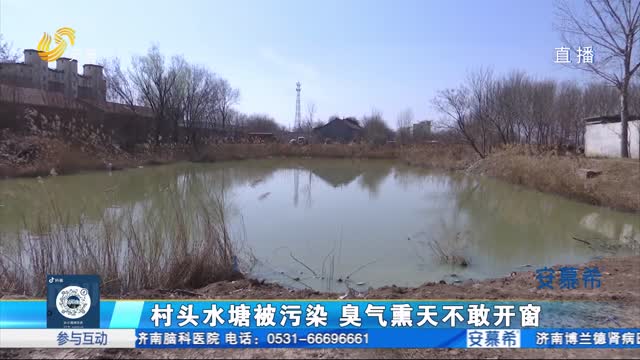 德州庆云：村头水塘被污染 臭气熏天不敢开窗