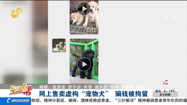 网上售卖虚构“宠物犬” 骗钱被拘留