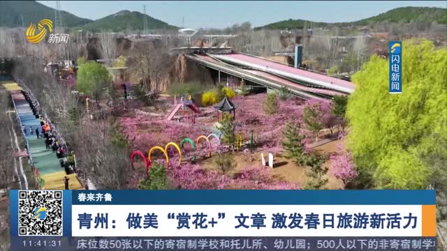 【春来齐鲁】青州：做美“赏花+”文章 激发春日旅游新活力