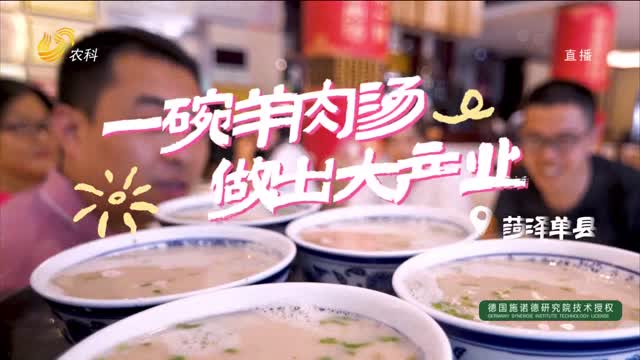 菏泽单县：一碗羊肉汤 做出大产业