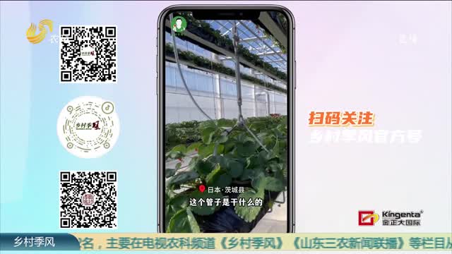 【2024草莓君日本草莓之旅】日本这家采摘园 给草莓补充二氧化碳