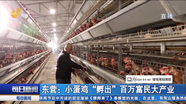 东营：小蛋鸡“孵出”百万富民大产业