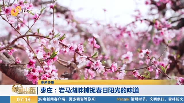【春来齐鲁】枣庄：岩马湖畔捕捉春日阳光的味道