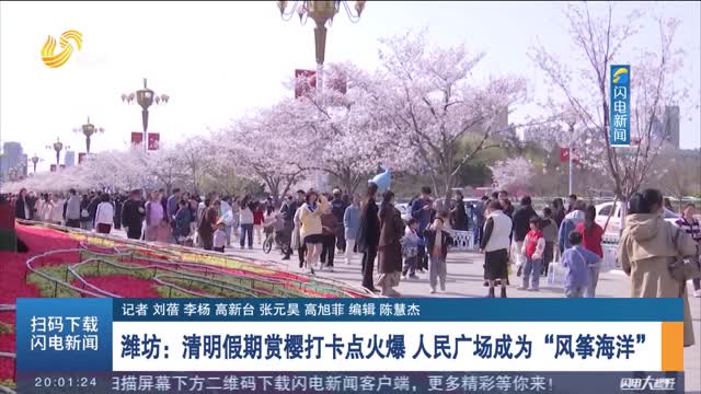【畅游齐鲁 乐宿山东】潍坊：清明假期赏樱打卡点火爆 人民广场成为“风筝海洋”