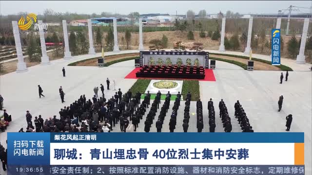 【梨花风起正清明】聊城：青山埋忠骨 40位烈士集中安葬