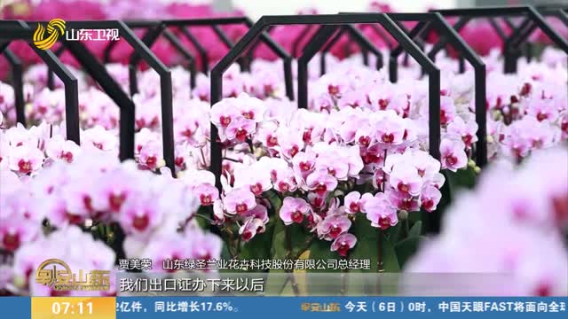 青州：花卉产业“春意”浓 出口旺
