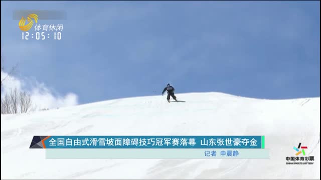 全国自由式滑雪坡面障碍技巧冠军赛落幕 山东张世豪夺金