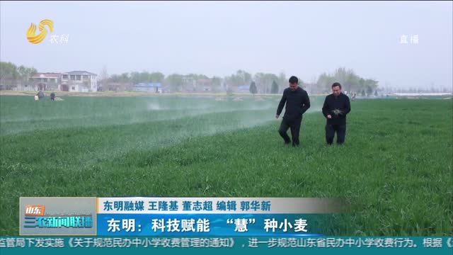 【春季麦田管理】东明：科技赋能 “慧”种小麦