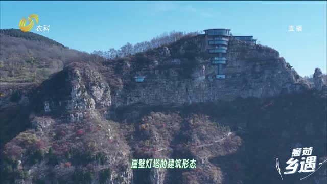 【意茹·乡遇】崖壁上的野奢酒店