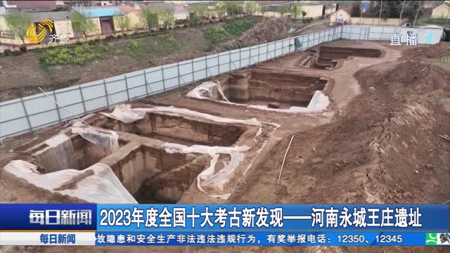 2023年度全国十大考古新发现——河南永城王庄遗址