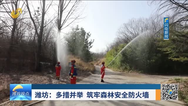 潍坊：多措并举 筑牢森林安全防火墙