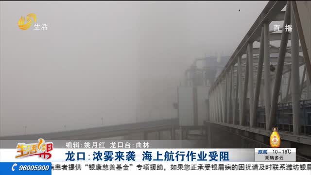 龙口：浓雾来袭 海上航行作业受阻