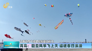 青岛：巨型风筝飞上天 追逐春日浪漫