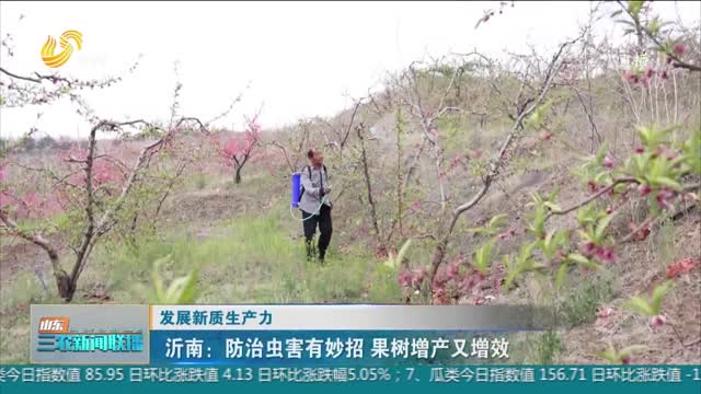【发展新质生产力】沂南：防治虫害有妙招 果树增产又增效