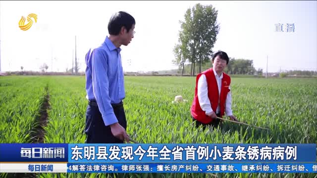 东明县发现今年全省首例小麦条锈病病例