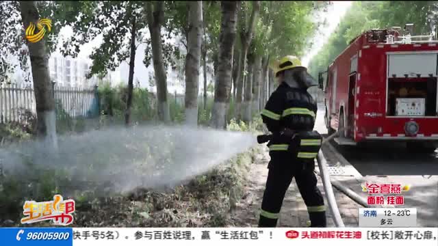 杨柳絮“发火”很危险 消防实验瞬间点燃