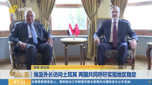 埃及外长访问土耳其 两国共同呼吁实现地区稳定