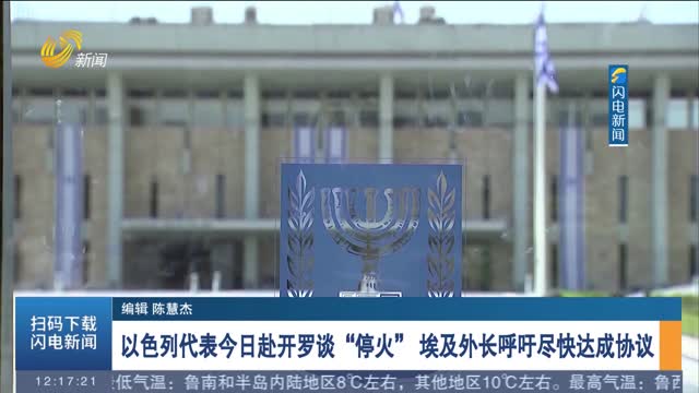 以色列代表今日赴开罗谈“停火” 埃及外长呼吁尽快达成协议