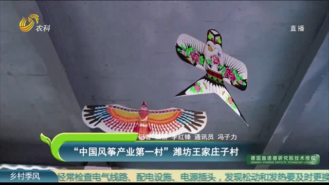 “中国风筝产业第一村” 潍坊王家庄子村