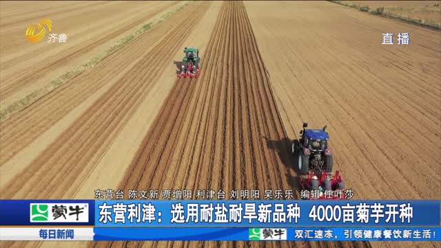 【乡村振兴体验官】东营利津：选用耐盐耐早新品种 4000亩菊芋开种